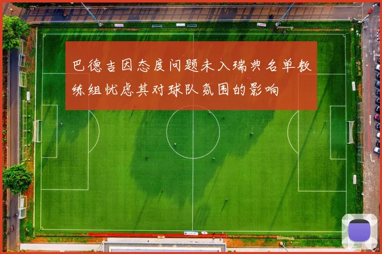 巴德吉因态度问题未入瑞典名单教练组忧虑其对球队氛围的影响